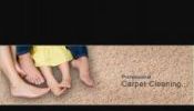 The carpet cleaner - Fresh and clean carpets