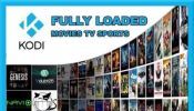 Fully Loaded Service For Amazon Fire Tv Stick