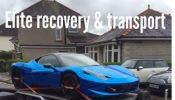 Elite recovery and transport